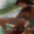 Swinger Ligonier
